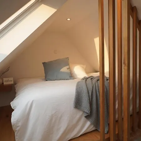 Luxus Mit Sauna & Fitness Und 250 M Zum Sacrower Potsdam